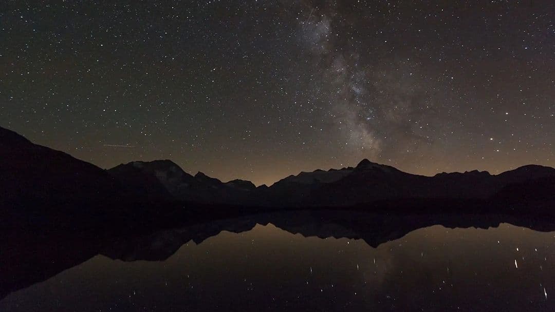 Freestyle Snacks Olives & Pickle Chips