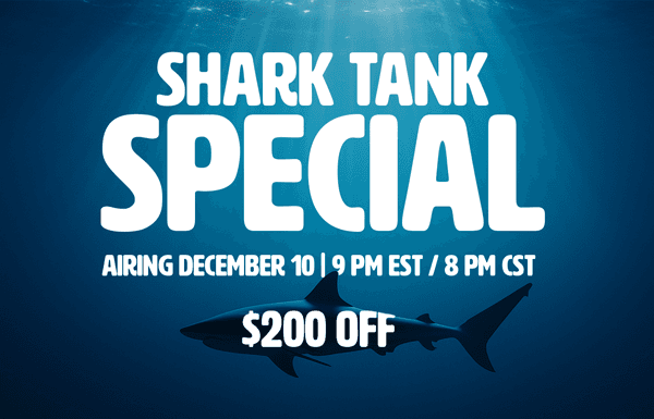 The Christmas Carolers