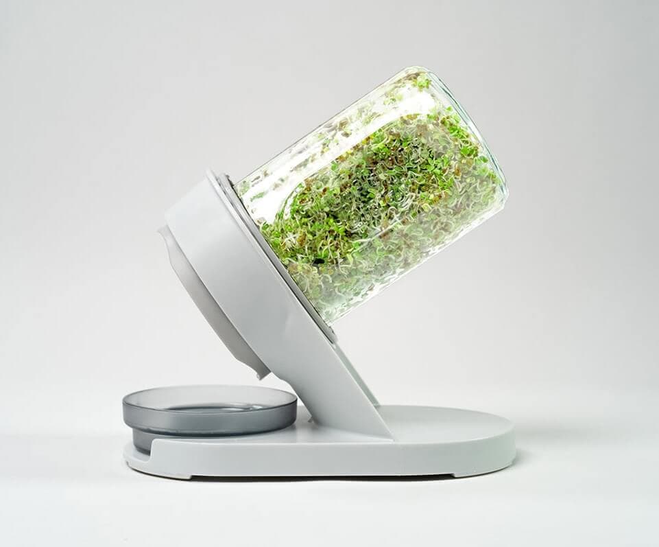 The Sprouting Company